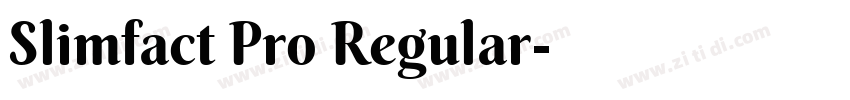 Slimfact Pro Regular字体转换